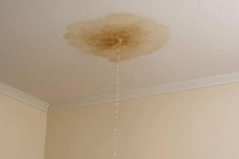 Ceiling Leak Detection in Los Angeles
