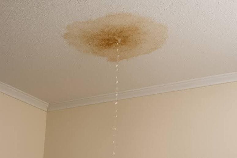 Ceiling Leak Detection in Los Angeles